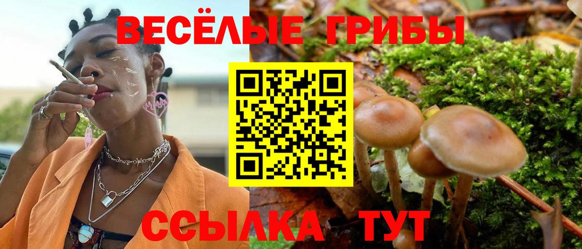 Псилоцибиновые грибы мицелий Саки